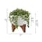 Flora Bunda® 5" String Of Pearl In Hobnail Ceramic Planter On Stand